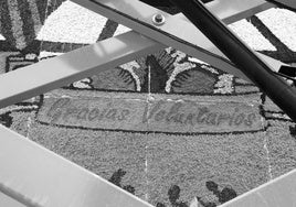 Mare dels Desamparats, ajuda als valencians