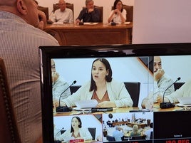 Unanimidad en Dénia para pedir la recuperación del grupo suprimido de técnico en guía en actividades