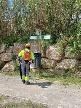 Labores de limpieza en el barranco.