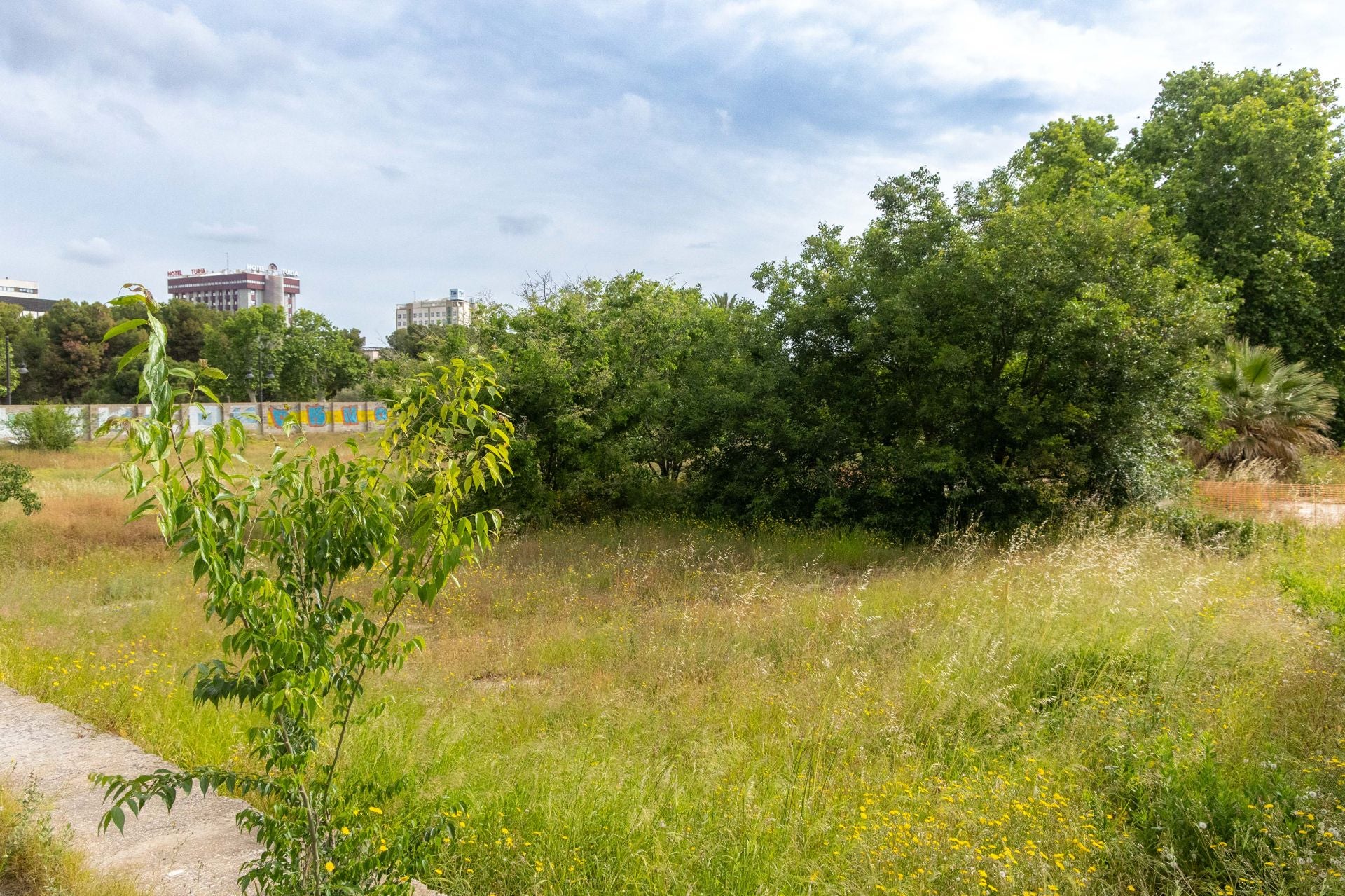 FOTOS | Comienzan las obras del nuevo jardín del solar de Jesuitas de Valencia