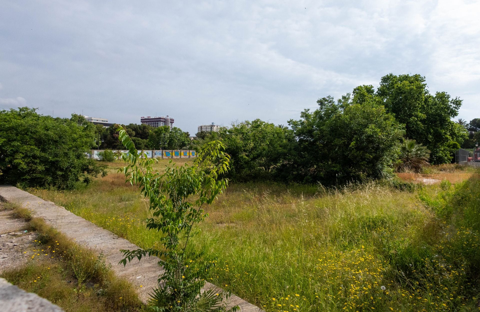 FOTOS | Comienzan las obras del nuevo jardín del solar de Jesuitas de Valencia