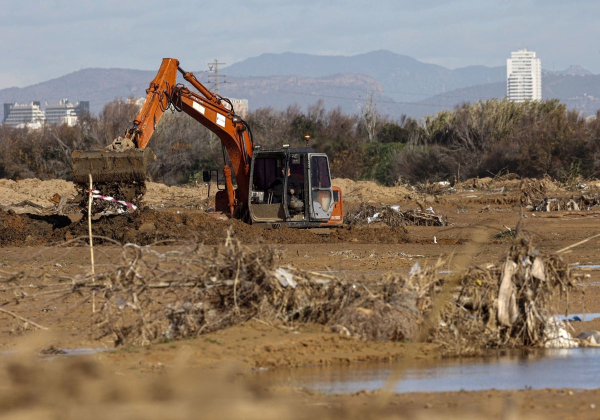 El abuso de herbicidas convirtió la tierra arrastrada por la dana en «una máquina de hacer daño»