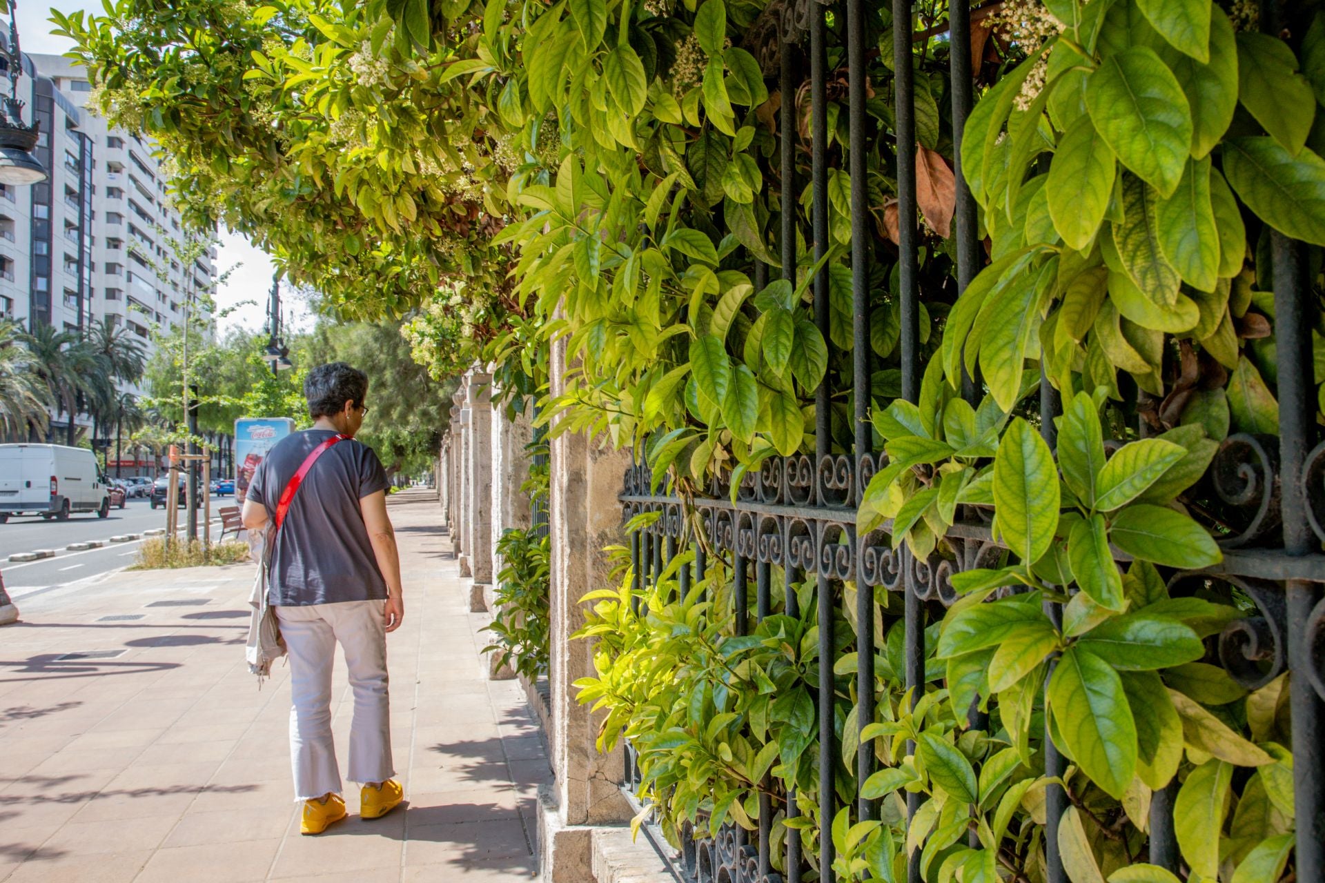 FOTOS | Dejadez y desperfectos en los jardines de Viveros de Valencia