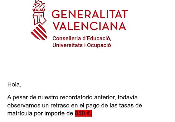 Captura de pantalla del email fraudulento.