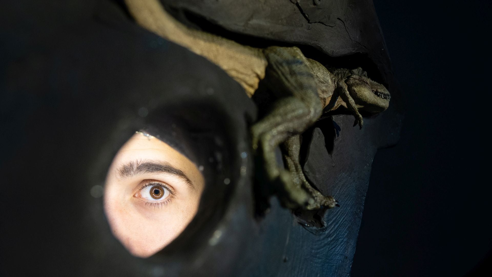 El Festival 10 Sentidos trae la Formiga Atómica este fin de semana a Valencia