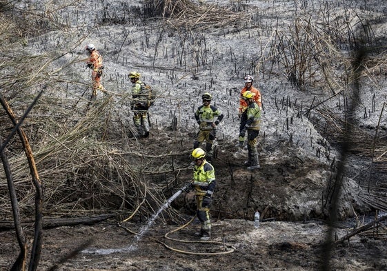 Imagen de archivo de un incendio forestal.