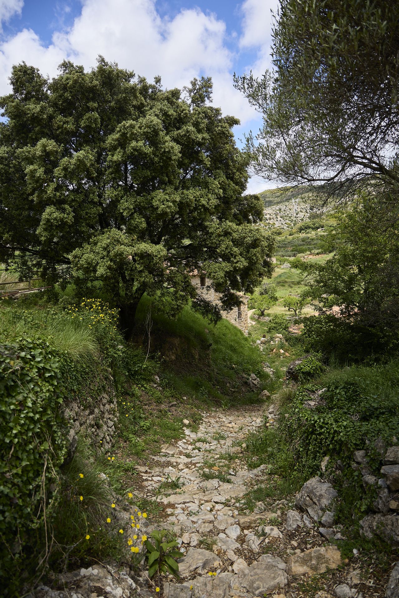 Un refugio rural para nómadas digitales