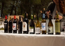 Vinos de Terres dels Alforins.