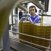 Envasado de aceite de oliva, en garrafas de cinco litros, en una cooperatriva valenciana.