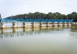 La Albufera en la Gola de Pujol.