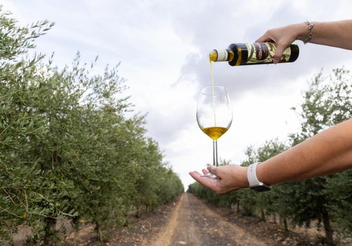 El enigmático mensaje del gobierno y la junta de andalucía sobre el precio del aceite en el futuro: «los agricultores tienen que ganar dinero» | las p