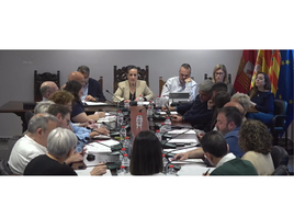 Pleno del Ayuntamiento de Carcaixent.