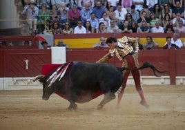 El diestro Andrés Roca Rey lidia un toro durante la corrida de Les Fogueres de Sant Joan 2024.