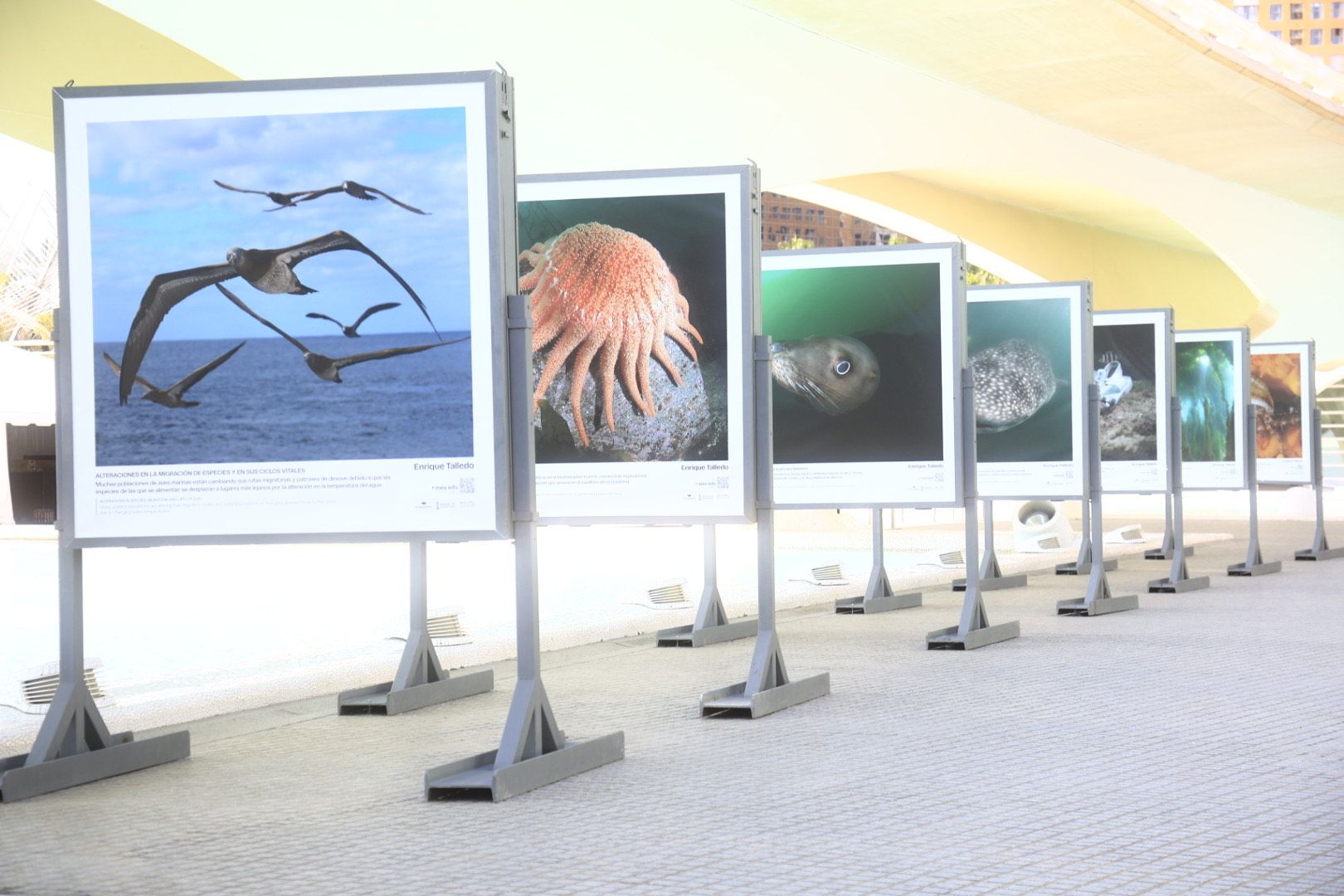 FOTOS | Llega a l&#039;Oceanogràfic de Valencia la exposición &#039;Cambio global: océanos, 21 evidencias científicas&#039;