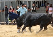 Un festejo taurino en un municipio de la Comunitat Valenciana.