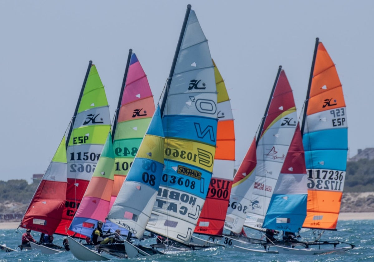 El espectáculo de la vela sigue en Valencia con la Copa de España de Catamaranes.