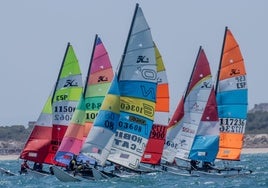 El espectáculo de la vela sigue en Valencia con la Copa de España de Catamaranes.