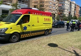 Una ambulancia del SAMU y varios policías junto al lugar donde se ha producido el atropello.