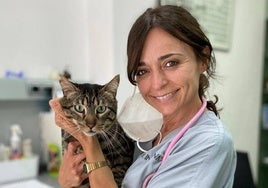 La veterinaria Sonia Burguet atiende a un gato en su clínica.