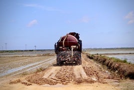 Trabajos en un terreno de Sollana.