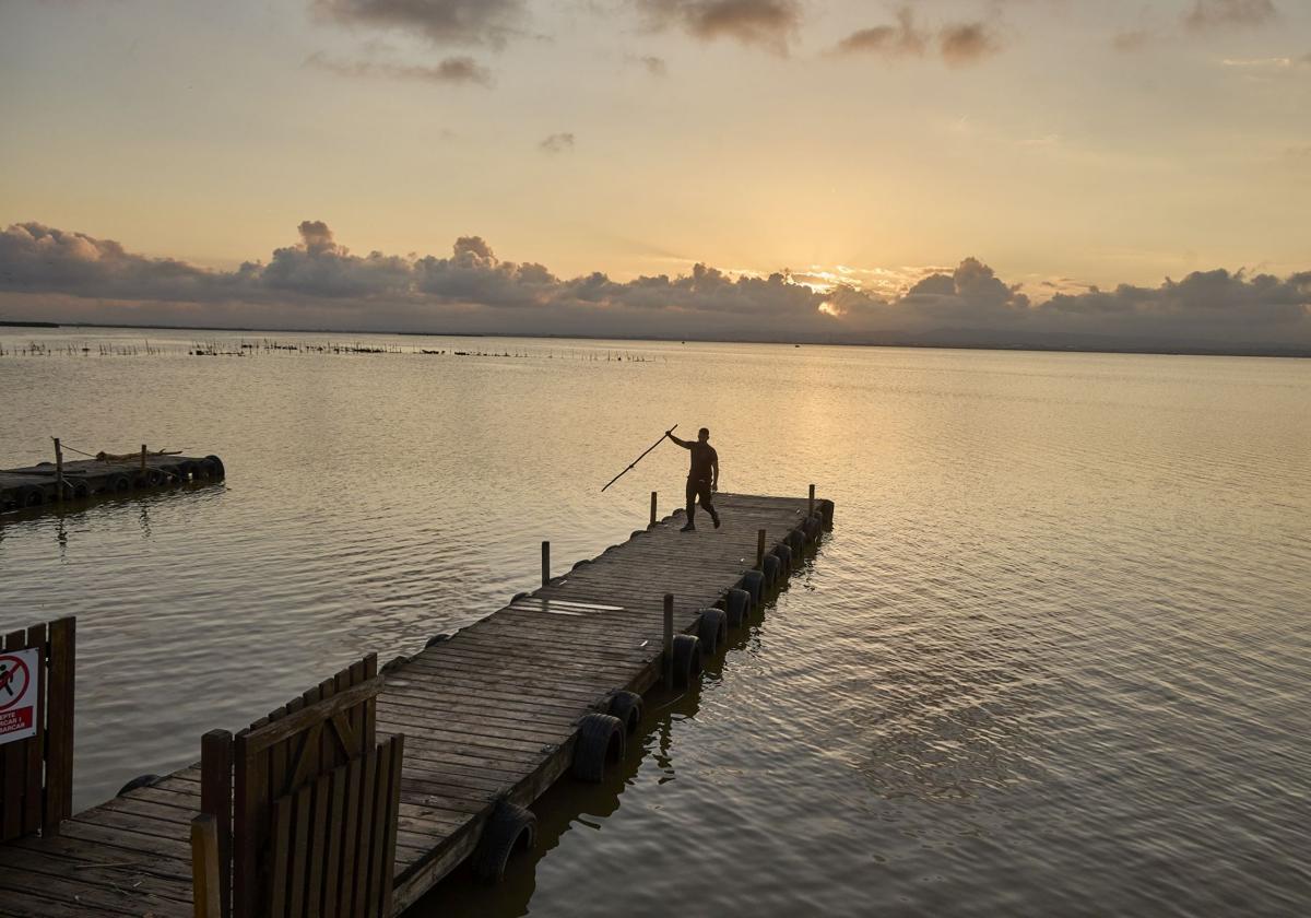 Representantes de diez países europeos conocerán los daños de la dana en la Albufera