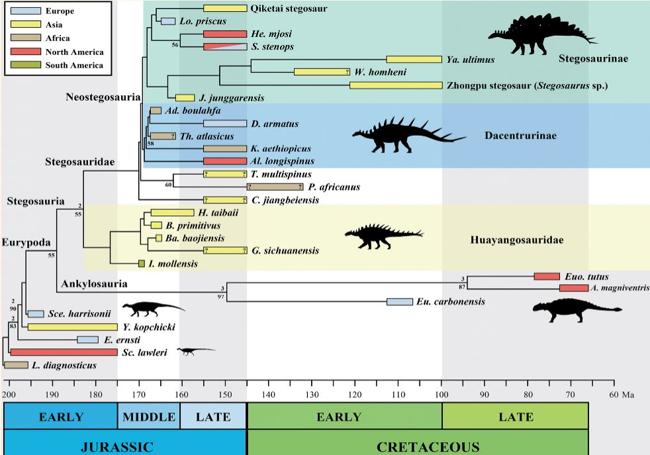 Cronograma de la evolución de los estegosaurios.