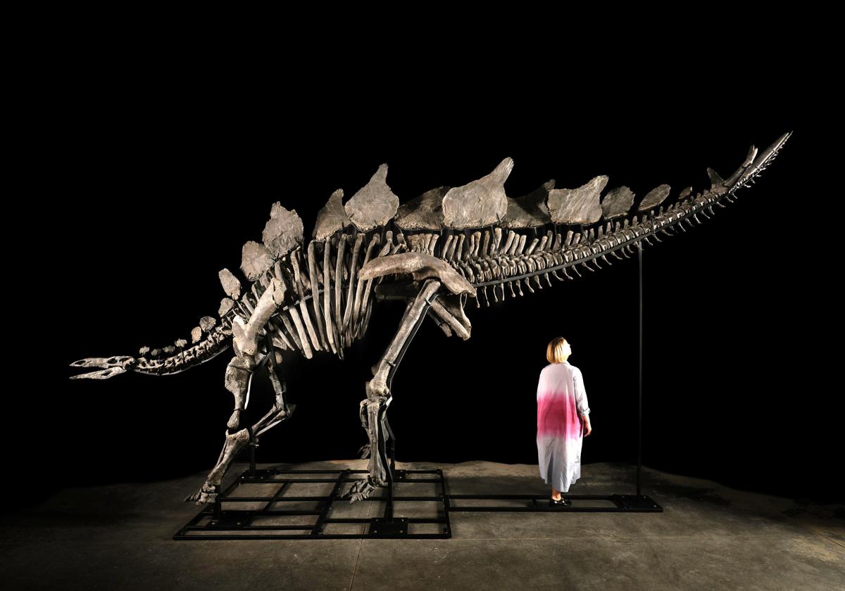 Uno de los dinosaurios más conocidos del mundo vivía a dos horas de Valencia