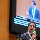 El ministro Carlos Cuerpo, en el Senado.