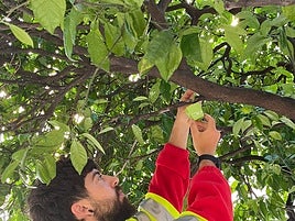 Un operario coloca una de las cajas.