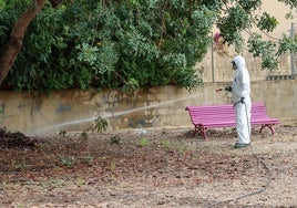 Un operario en tareas de fumigación en un parque de Torrent.