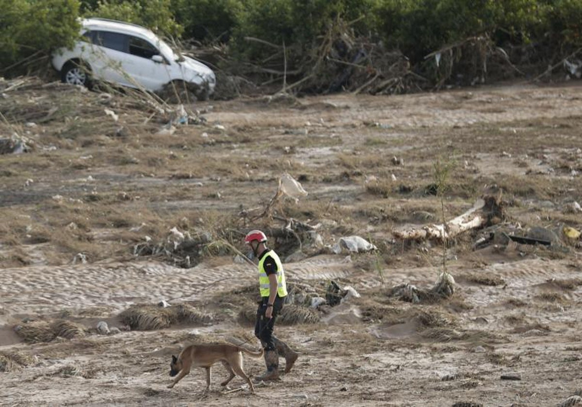 Un estudio alertó en 2021 de «inundaciones más intensas» | las provincias