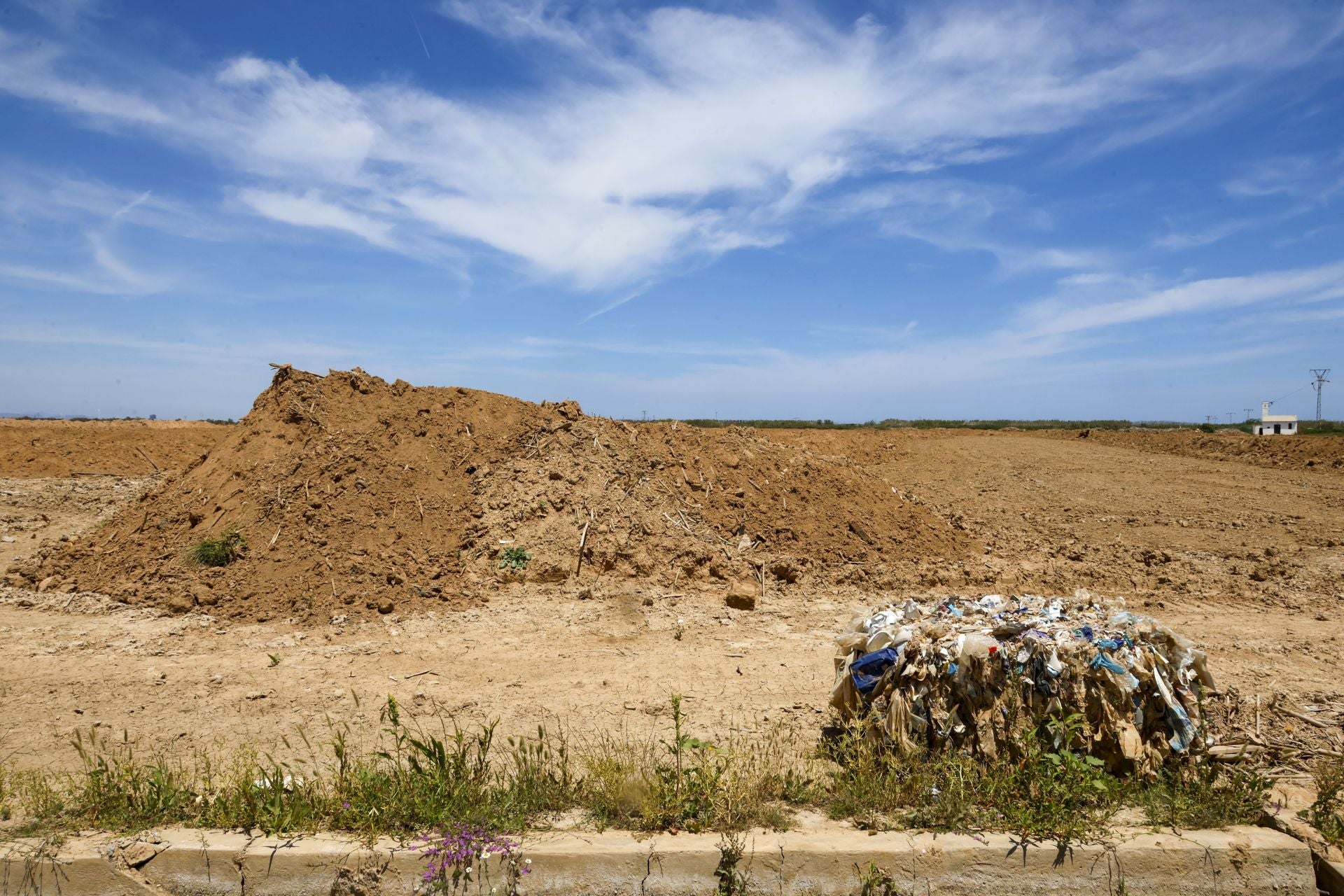 Imagen principal - El agua vuelve a llenar los arrozales de la Albufera