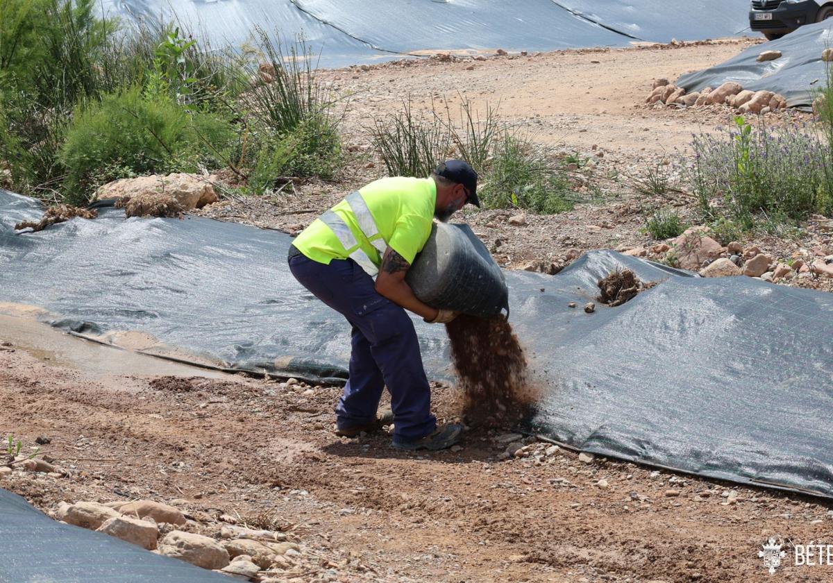 El gobierno rechaza prorrogar los plazos para la retirada de cañaverales en el carraixet | las provincias