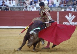 Miguel Ángel Perera, el pasado sábado en Córdoba.