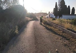 Trabajos en viales de Loriguilla.