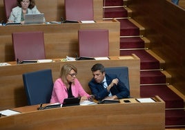 Susana Camarero y Carlos Mazón, en un pleno de Les Corts.