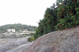Partida del Carraixet de Xàtiva.