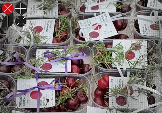 La cereza, una de las frutas más queridas en verano.