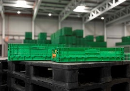Logifruit cierra 2024 con un crecimiento del 7% y una nueva sede en Almeirim