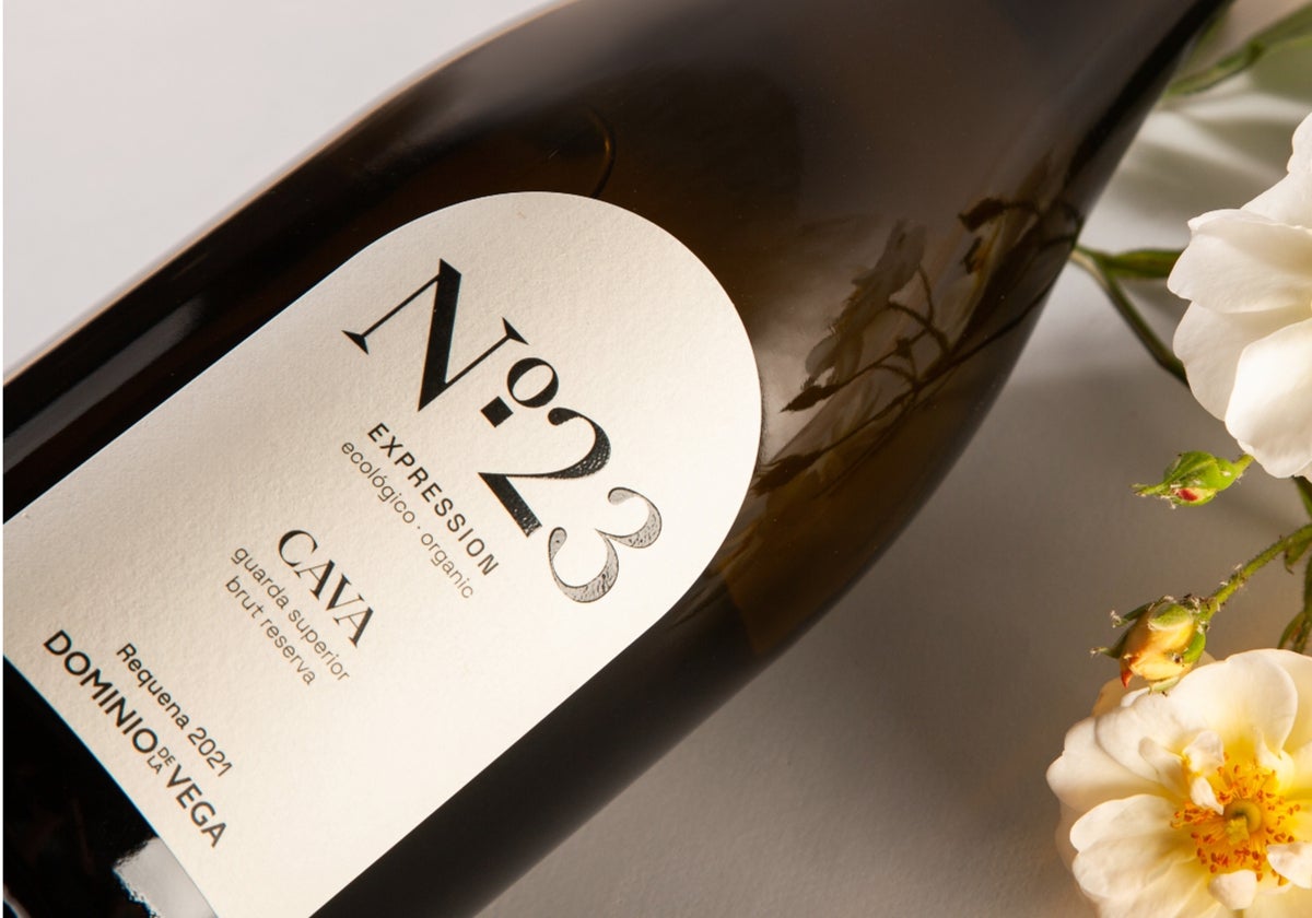 Cava guarda superior de Dominio de la Vega.