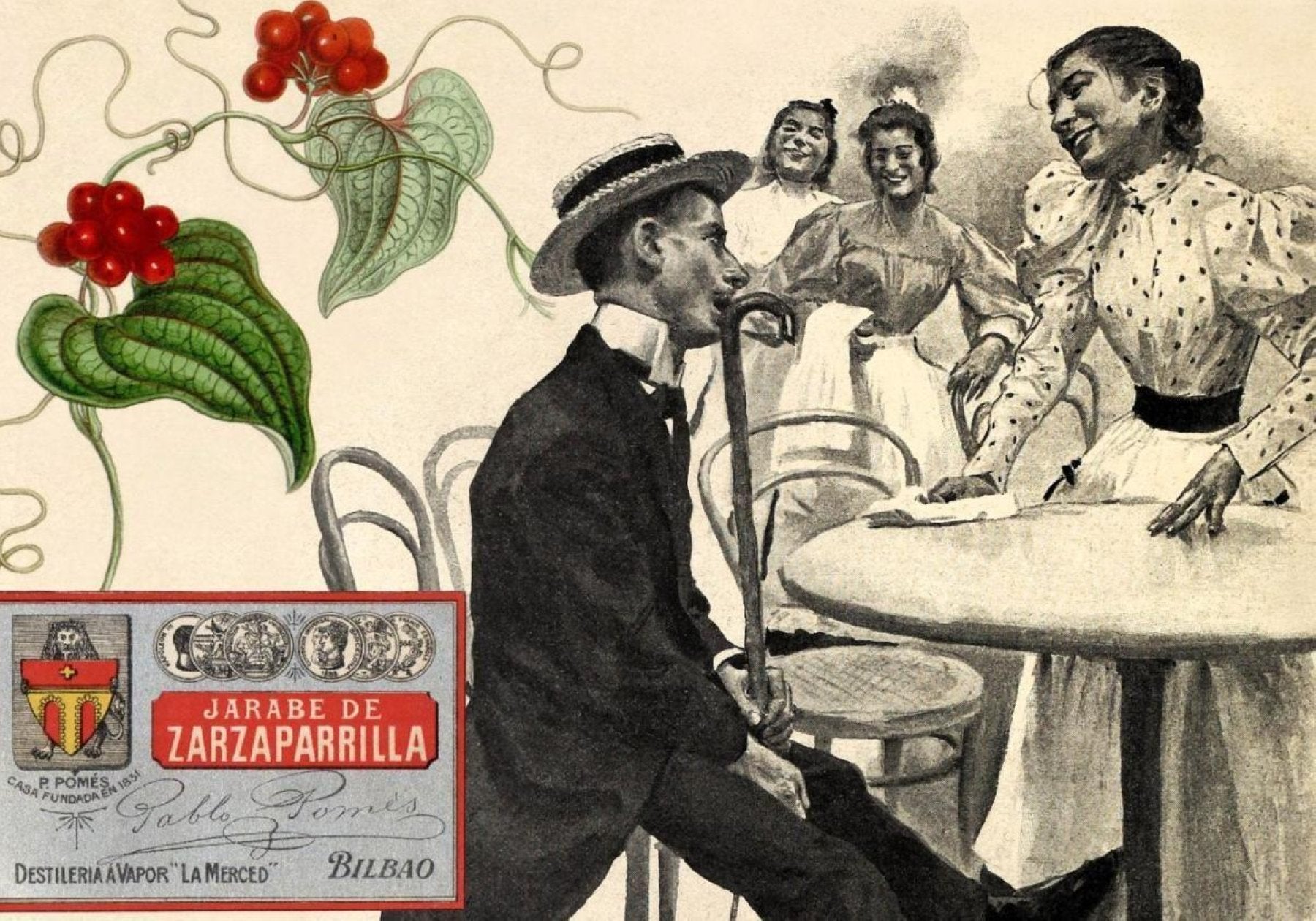 Zarzaparrilla, remedio contra la sífilis y refresco
