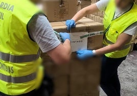 Decomiso de los productos falsificados.