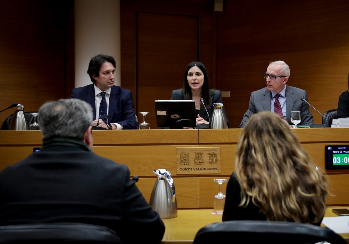Comisión de Investigación de la dana en Les Corts.