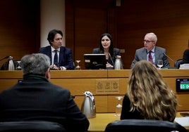 Comisión de Investigación de la dana en Les Corts.