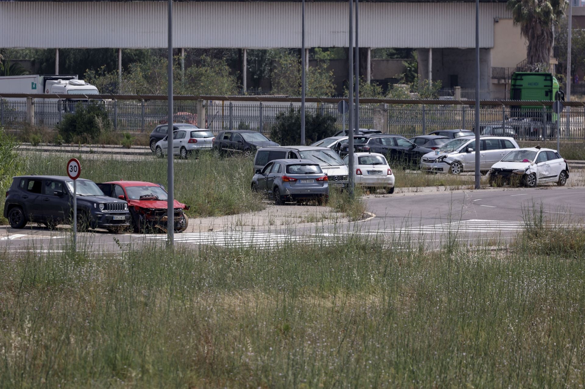 FOTOS | Coches afectados por la DANA, ocho meses después en la ZAL del puerto de Valencia