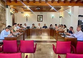 Sesión plenaria en L'Eliana.