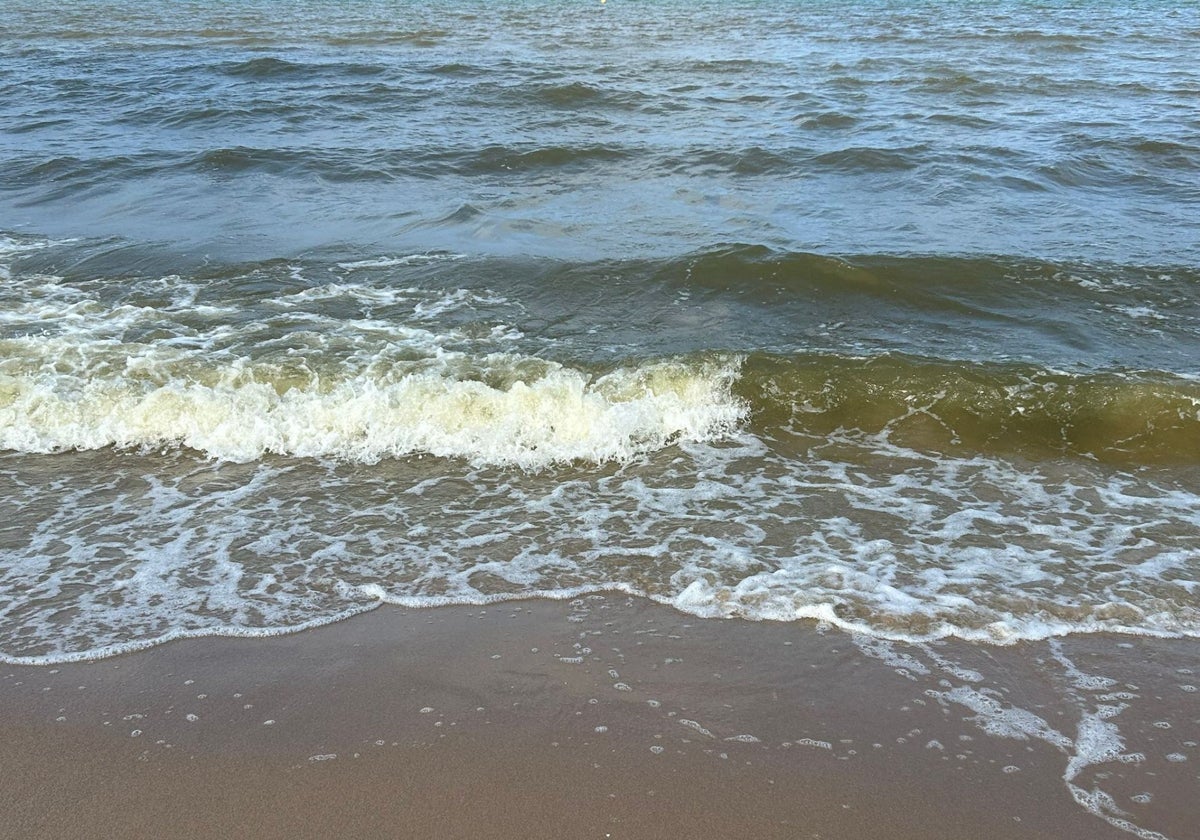Primer choque entre Junta de Desagüe y la Concejalía de Devesa-Albufera por las aguas verdes de las playas de Valencia