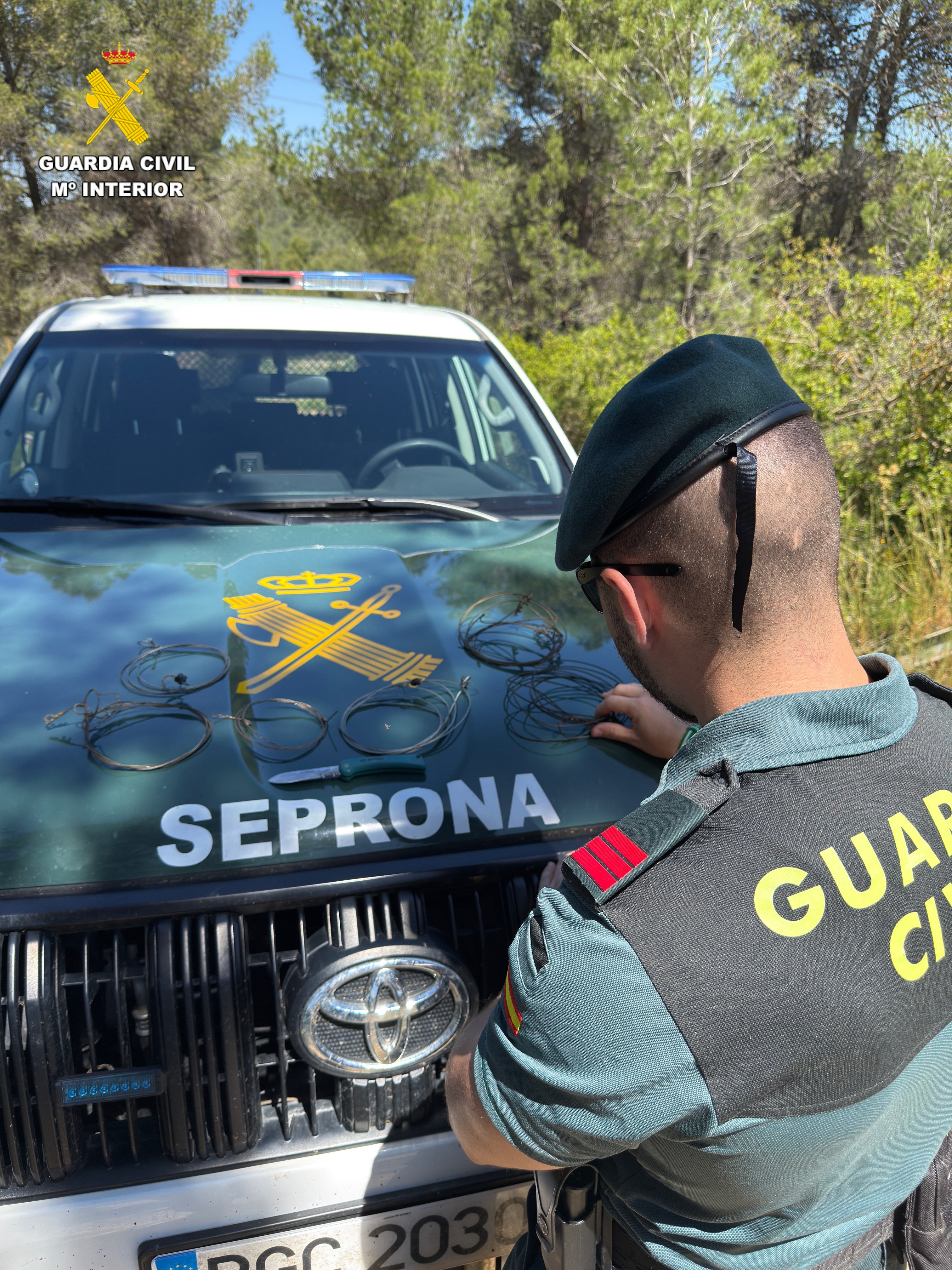 Investigado por colocar lazos trampa en un paraje de Requena
