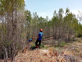 Los trabajos realizados en el entorno de Sant Esteve.