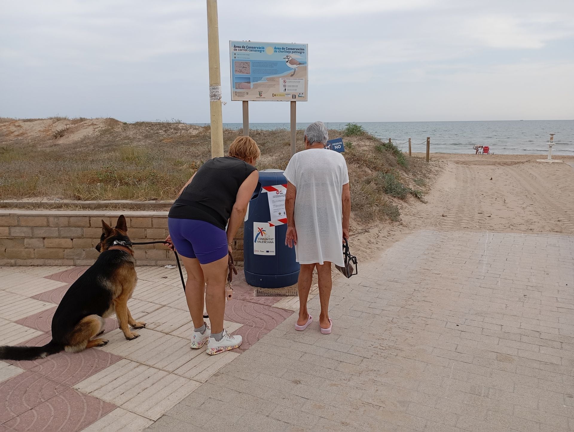 Siete playas de la Safor siguen cerradas a la espera de los resultados de los análisis del vertido
